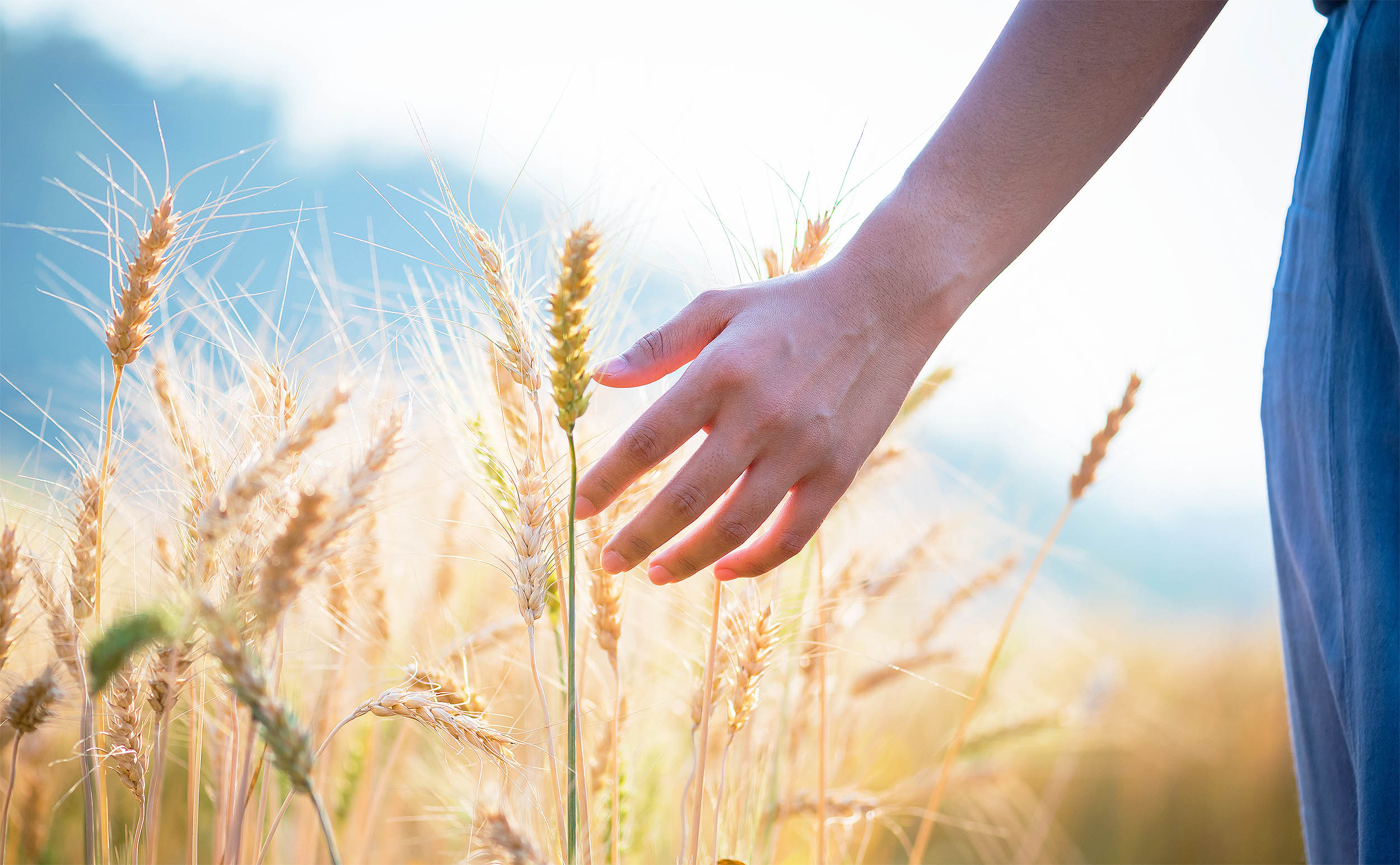  Humans have a remarkable “seventh sense” ability of remote touch