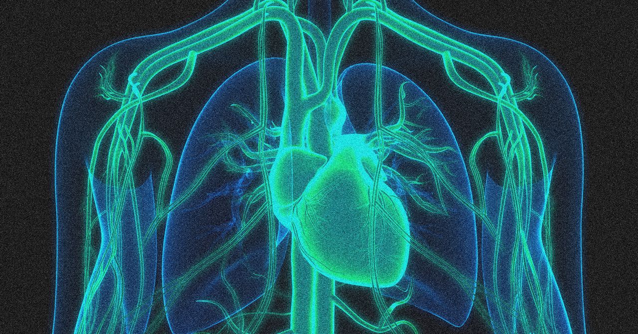  A Gene Editing Therapy Cut Cholesterol Levels by Half