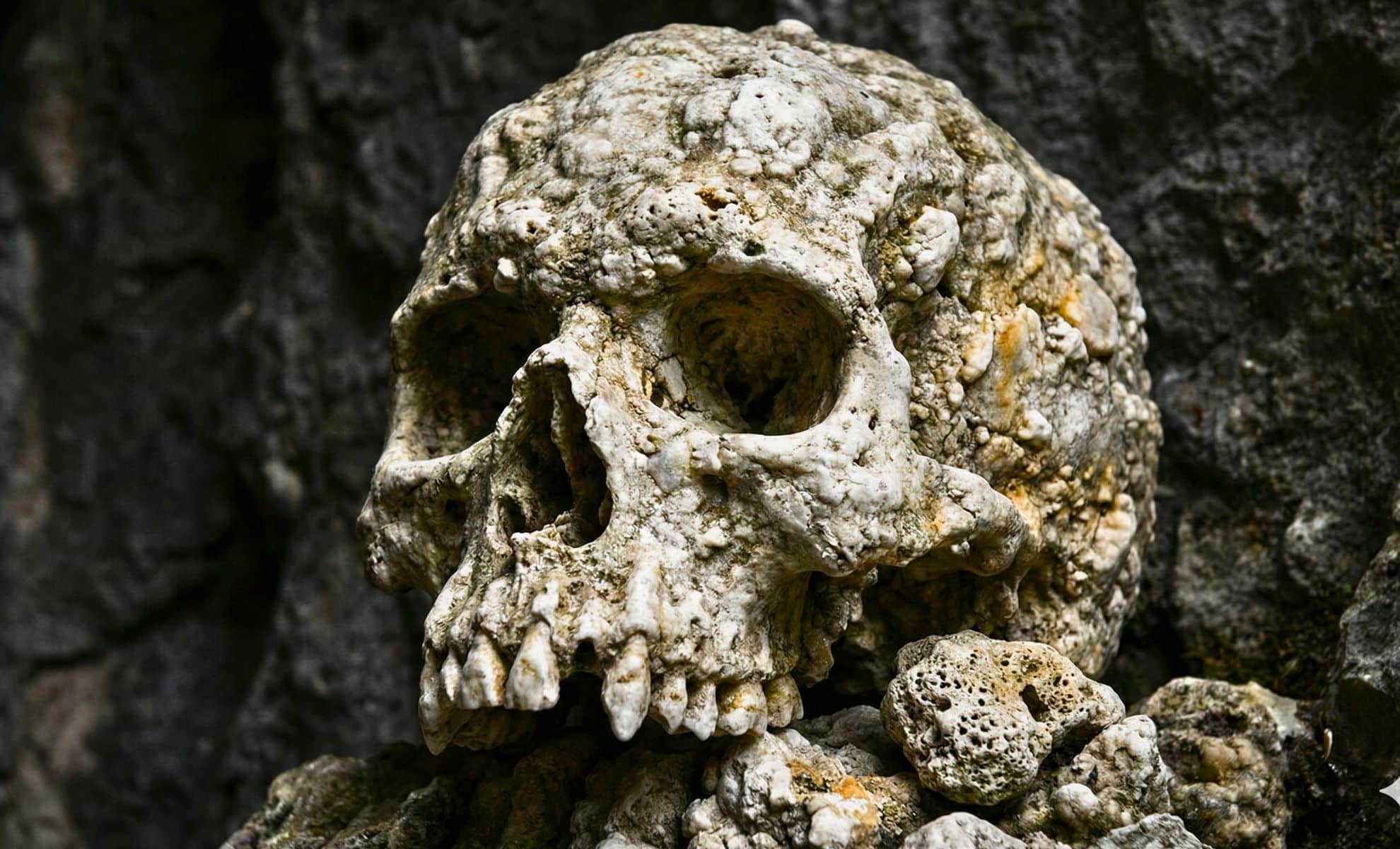  A Skull Sealed in a Cave for 130,000 Years Reveals the Truth About the Most Puzzling Part of Neanderthals: Their Noses