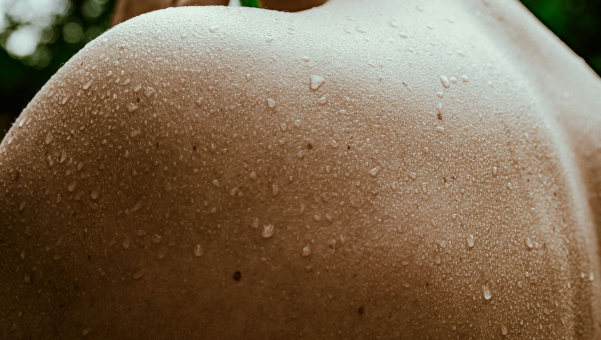  The Body Odor Of Men With High Testosterone Is Associated With Dominance, But Not Attractiveness