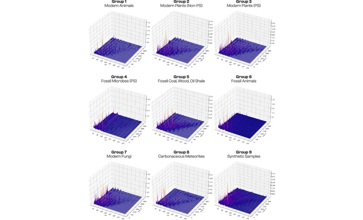 The Aggregated Three Dimensional Py–gc–ms Data For Each Of The Nine Categories