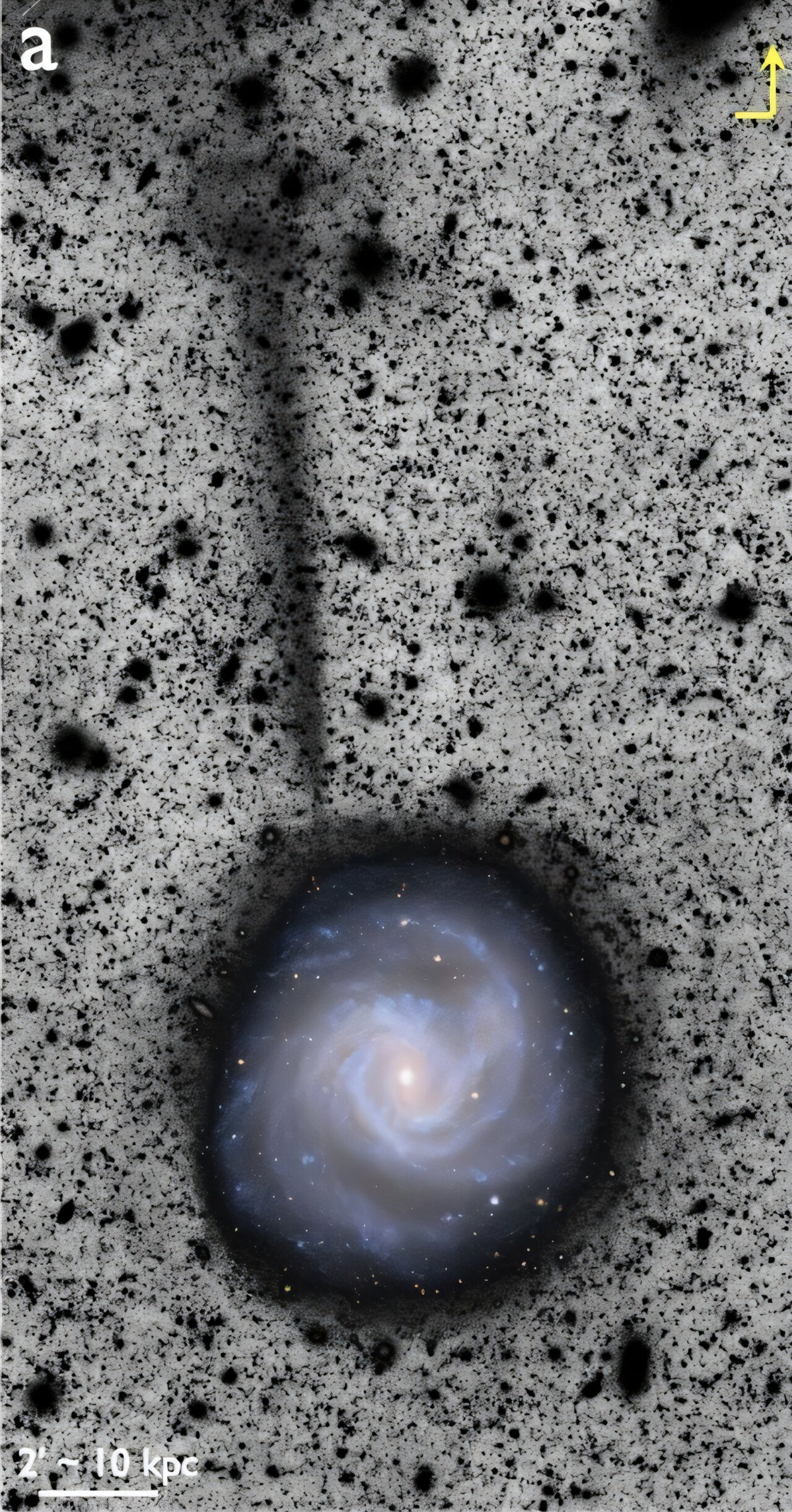 A spiral galaxy is shown with a faint, dark tail-like structure—possibly a stellar stream escaping the galaxy—extending upward; scale bar and direction indicator are visible in the corners.