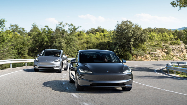 looking back at a gray Model 3 and a silver Model Y driving around a corner in front of trees