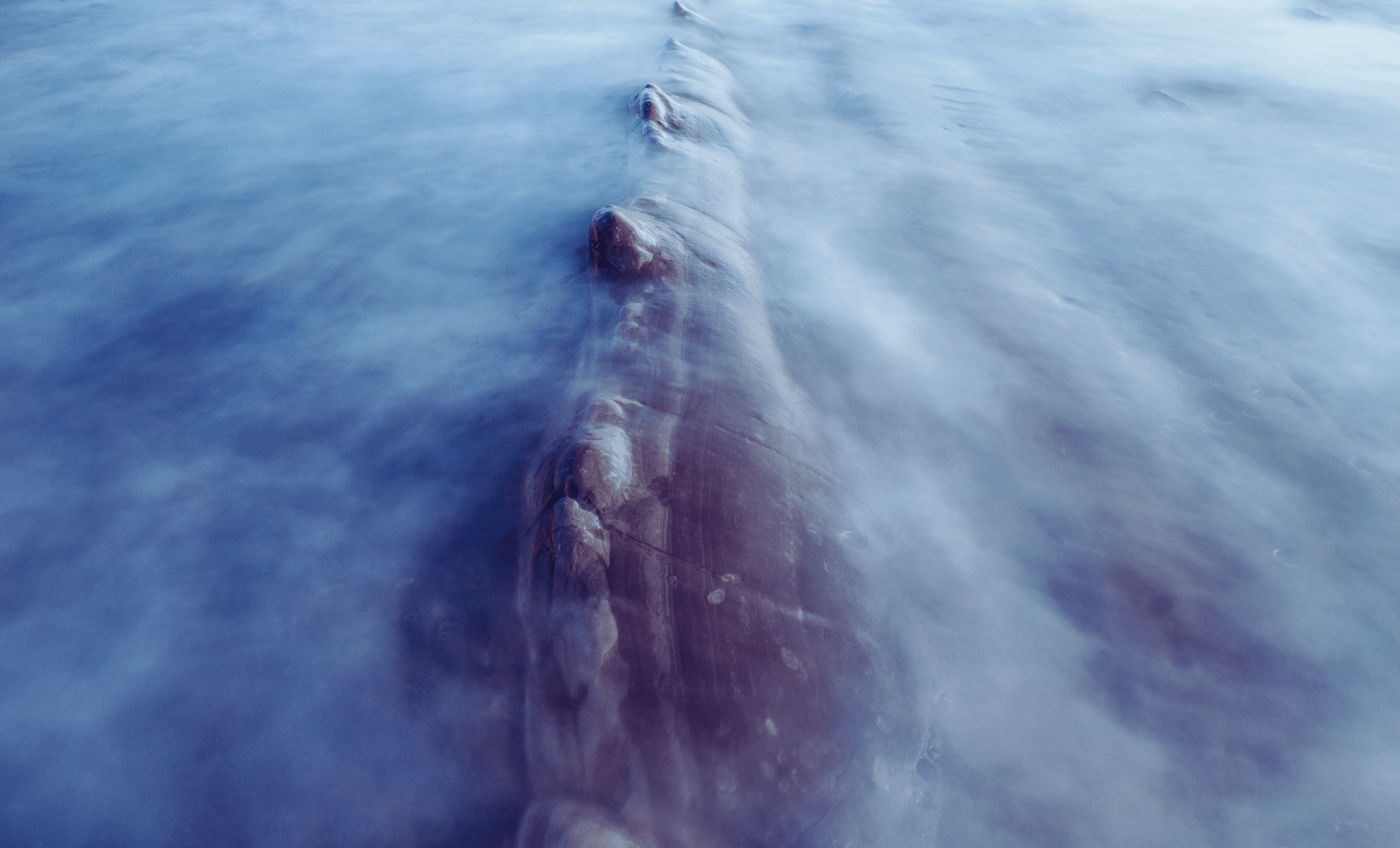  This Prehistoric Sea Monster Was the Apex Predator of Ancient Seas—And It Had Bone Blades!