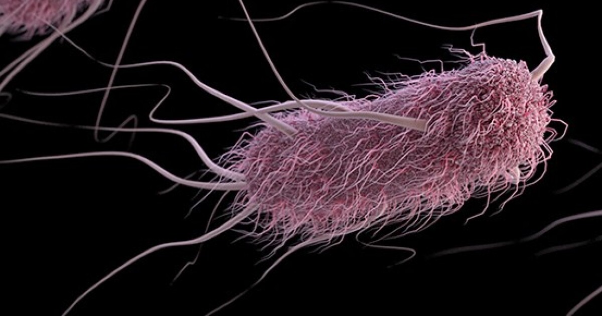  Outbreak of E. coli-related toxin possibly connected to Arizona State Fair