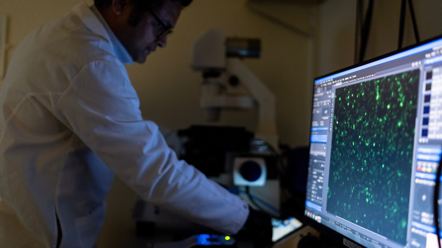  Why autoimmune diseases mostly strike women and are often misdiagnosed