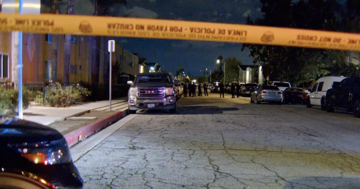  Latin musician, 22, killed in ambush-style shooting in Northridge
