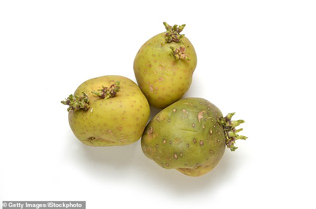 Don't be tempted to eat those green, sprouting potatoes - they could be poisonous