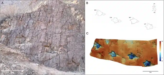 13358 2025 419 Fig4 Html