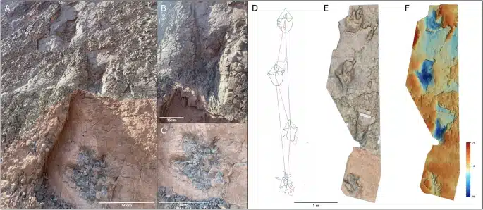 13358 2025 419 Fig6 Html