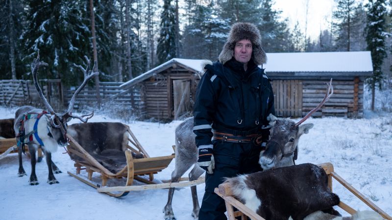  Finland’s reindeer are under threat. Is Russia’s war in Ukraine to blame?