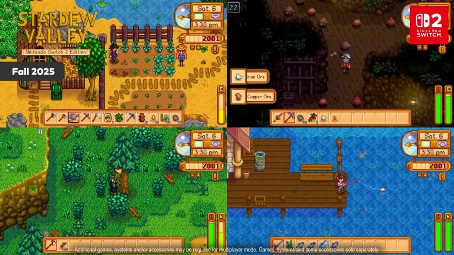 Stardew Valley