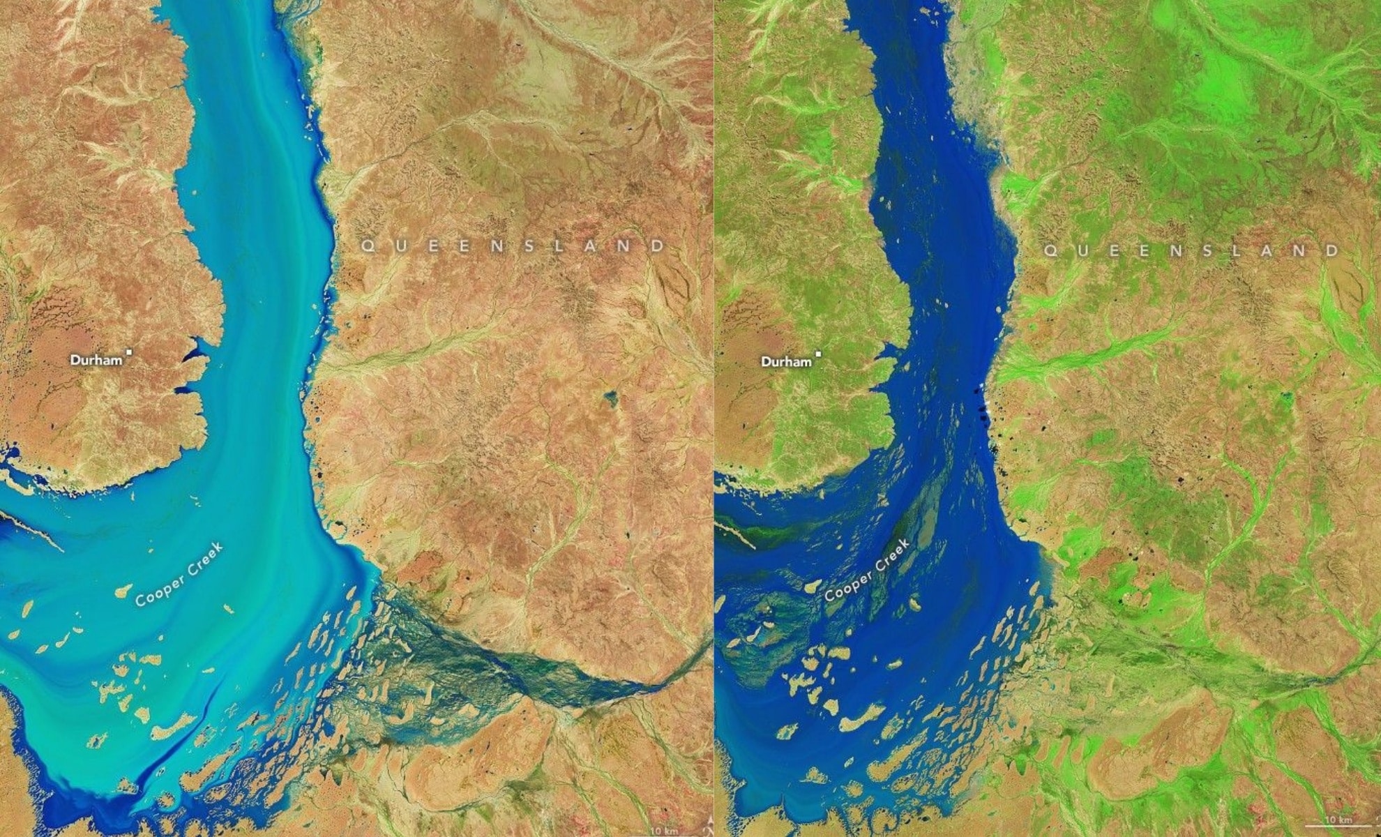  NASA Satellite Captures Something Strange Blooming in Australia’s Brown Desert