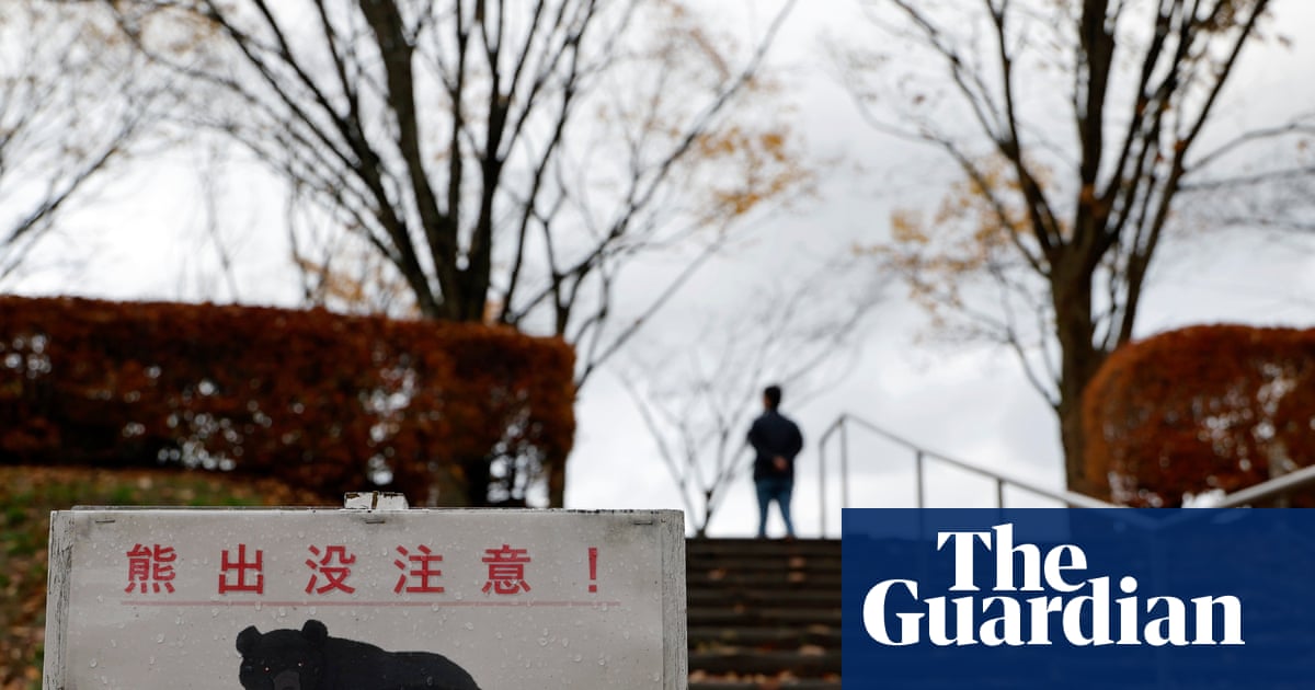  Japanese town reeling from year of record bear encounters | Japan