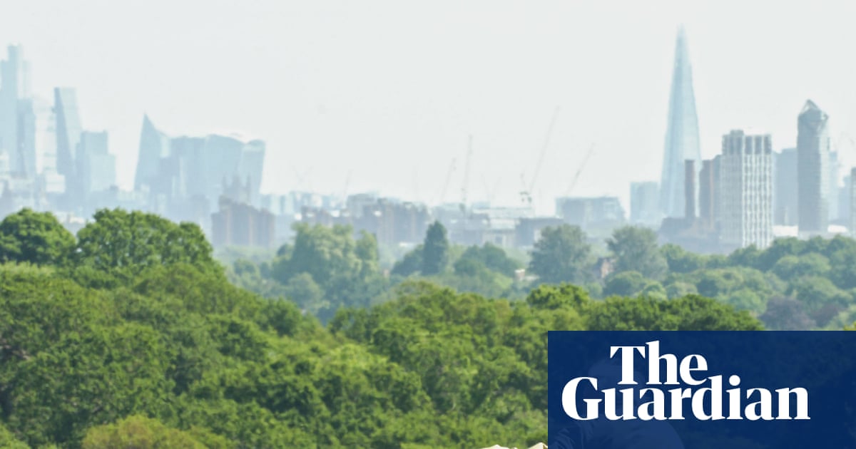  ‘Cities need nature to be happy’: David Attenborough seeks out London’s hidden wildlife | David Attenborough
