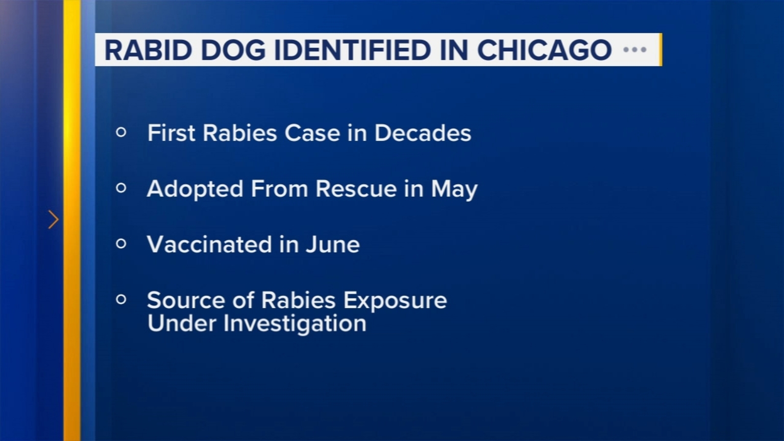  Chicago dog tests positive for rabies for 1st time in decades, Illinois Department of Public Health says