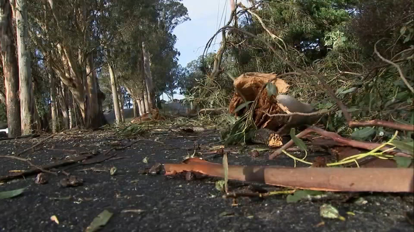  San Francisco Bay Area Weather: Thousands in South Bay still without power after strong Christmas storm