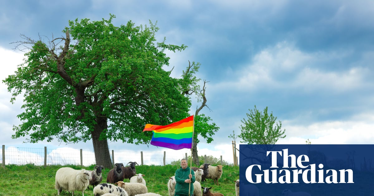  Just not that into ewes: ‘gay sheep’ escape slaughter and take over a New York catwalk | Fashion