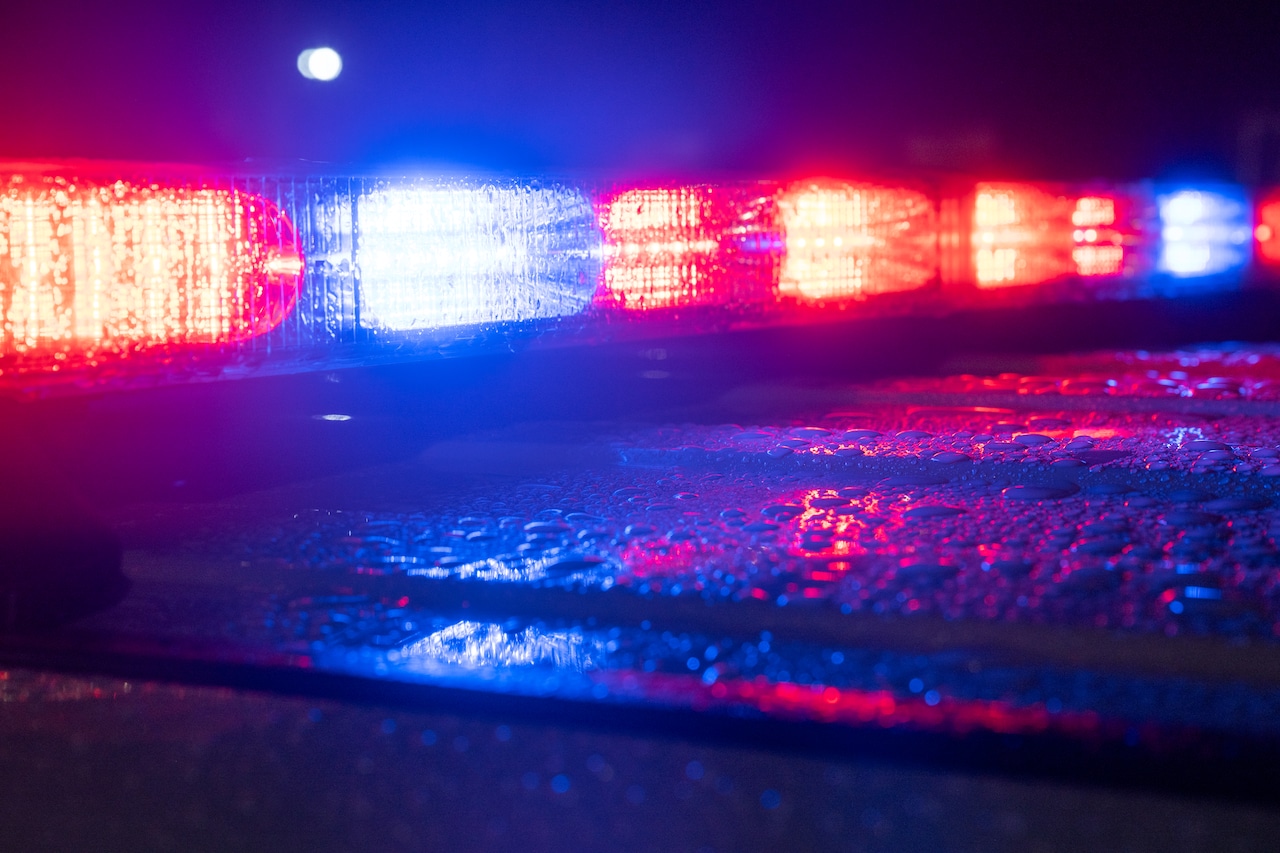  ‘The Lion King’ Broadway actress stabbed to death at the age of 25