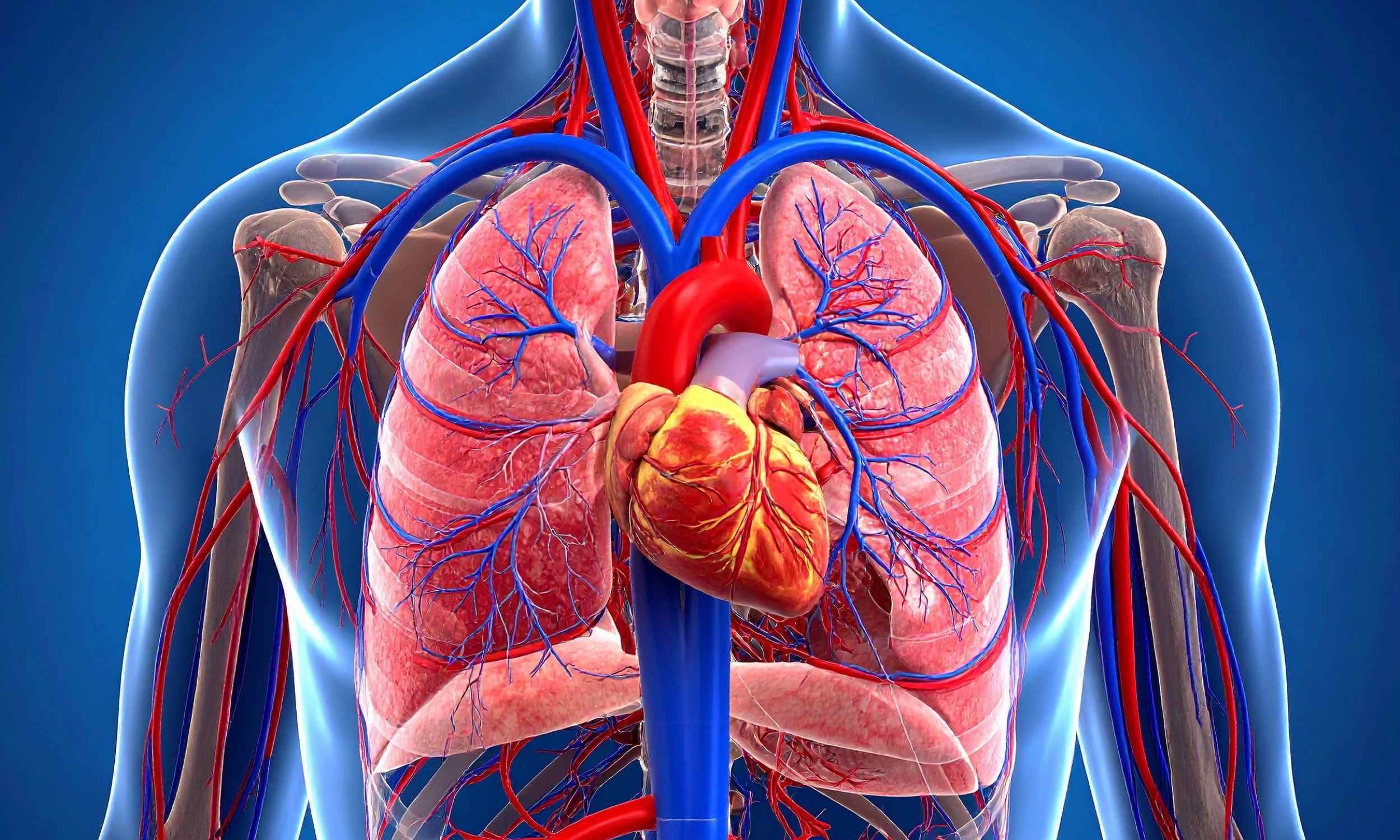  Doctors are rethinking the use of beta-blockers for heart patients