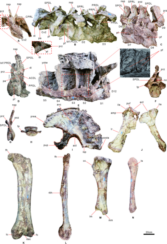 41598 2025 29995 Fig2 Html