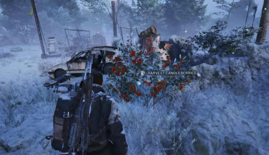  Where To Find Candleberries In Arc Raiders And All Flickering Flames Items