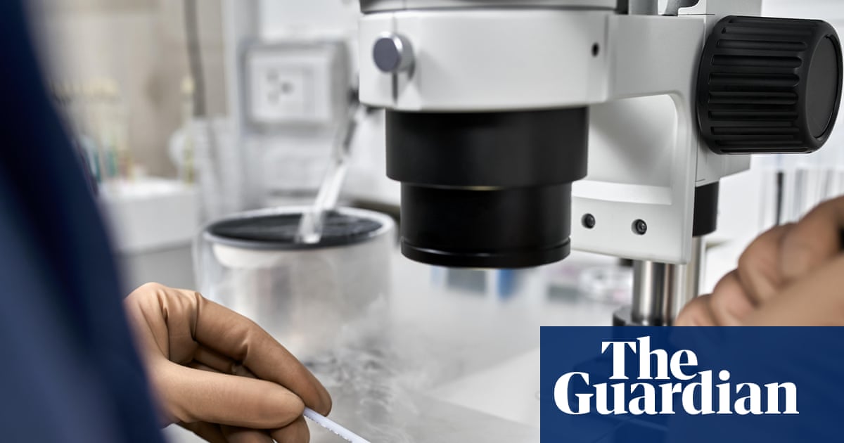  Failure to diagnose treatable male infertility leading to unnecessary IVF, experts say | Fertility problems