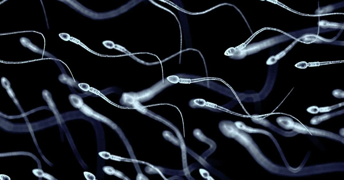  At least 197 children were fathered by sperm donor with cancer-causing gene. Some have already died – WLFI News 18