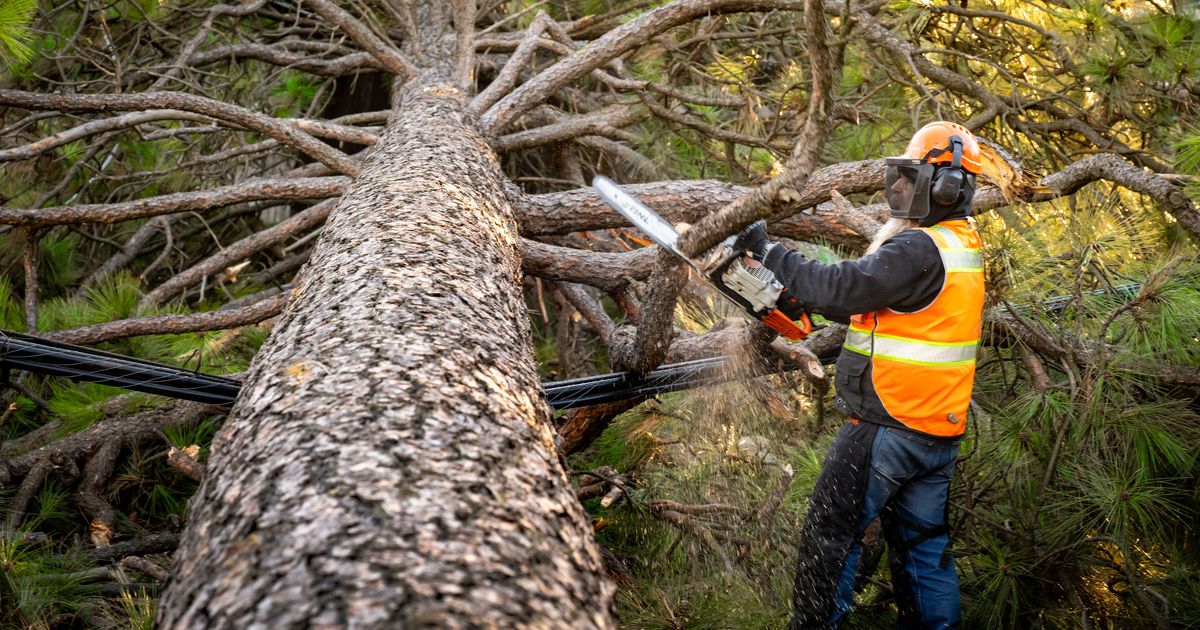  Wind knocks out power for nearly 100K; dozens of line crews working to restore electricity