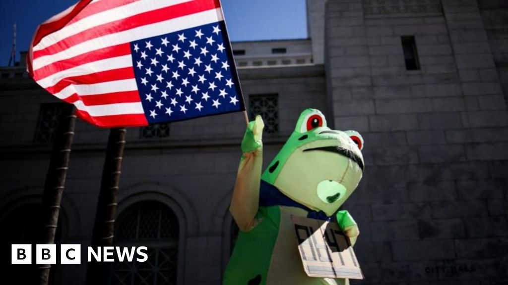  How frogs went from right-wing meme to anti-ICE protest symbol