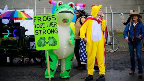 Getty Images Protesters in frog suit and chicken suits stand outside the ICE centre