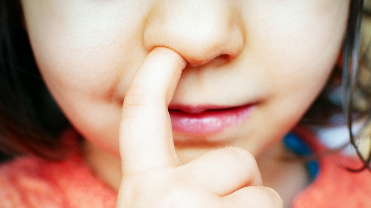 Mouse Study Suggests Nose-Picking Has a Surprising Link With Alzheimer’s : ScienceAlert
