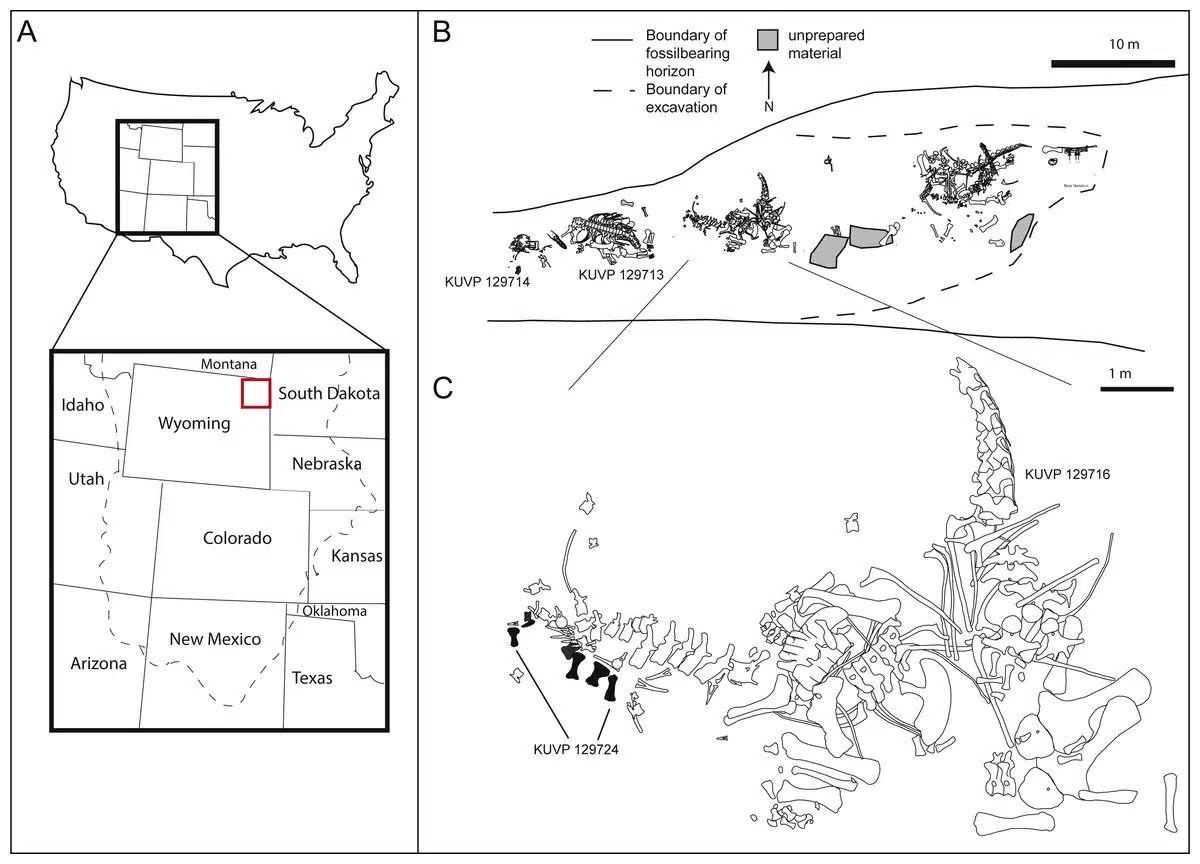 Excavation Site In Northeastern Wyoming