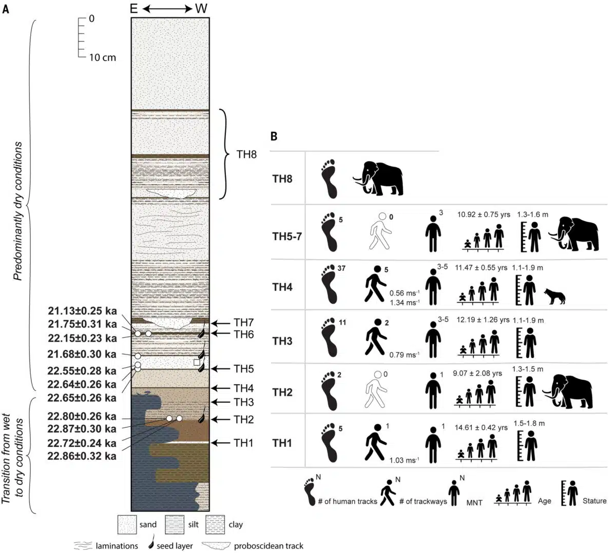 Geologic Context And Track Maker Demographics At The White Sands National Park Locality.