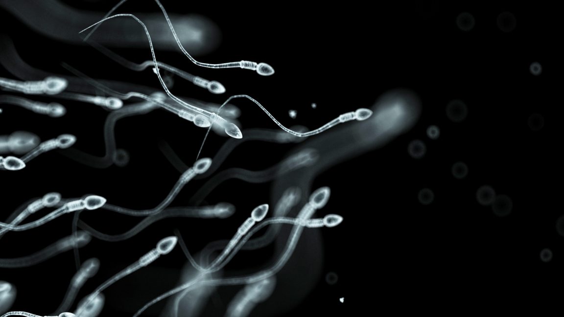  Sperm donor with rare cancer mutation fathered nearly 200 children in Europe
