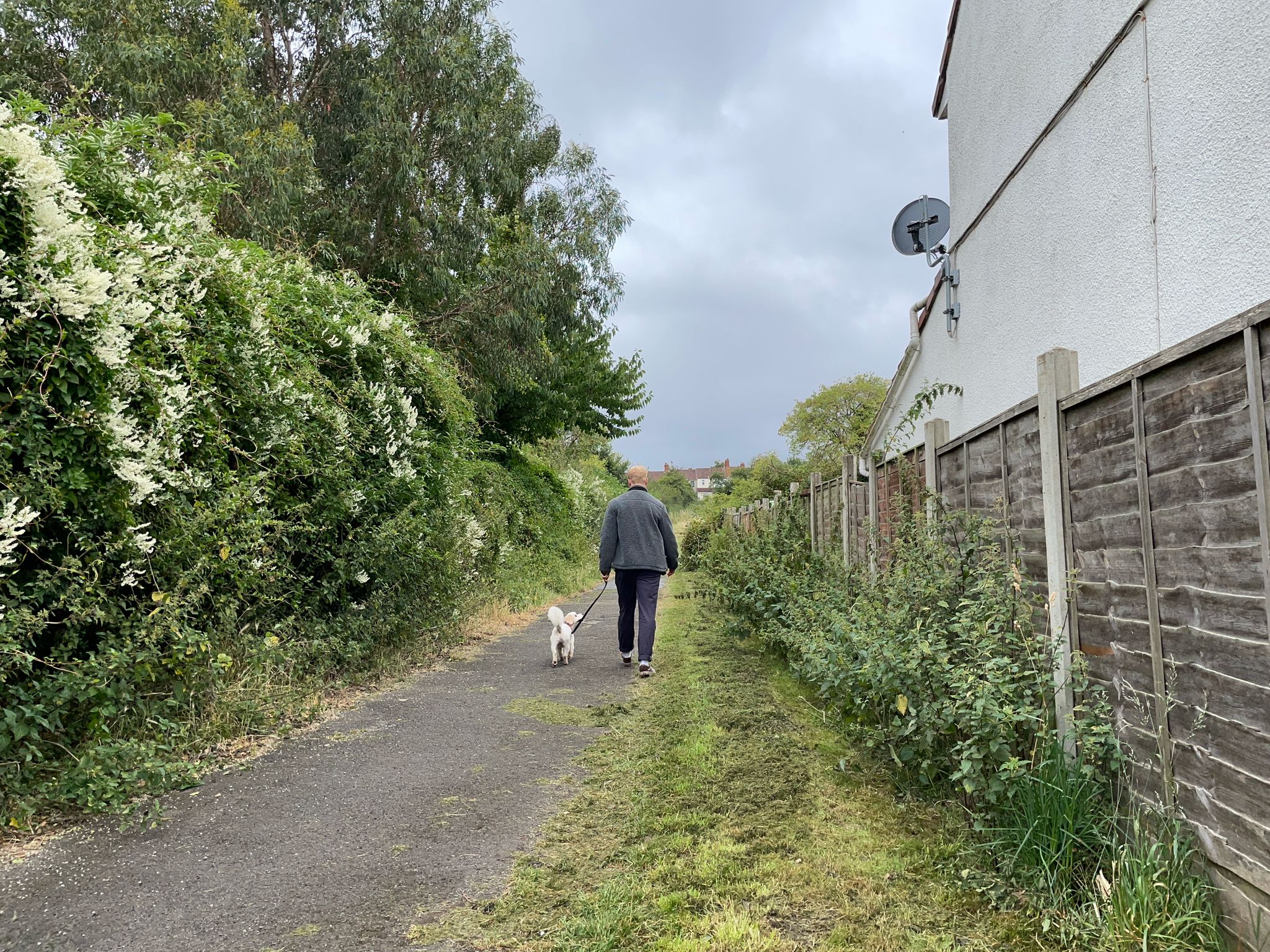 I found the 'Japanese walking' method was more effective at raising my heart rate, potentially offering greater physical benefits, but I preferred the calming effects of a standard walk