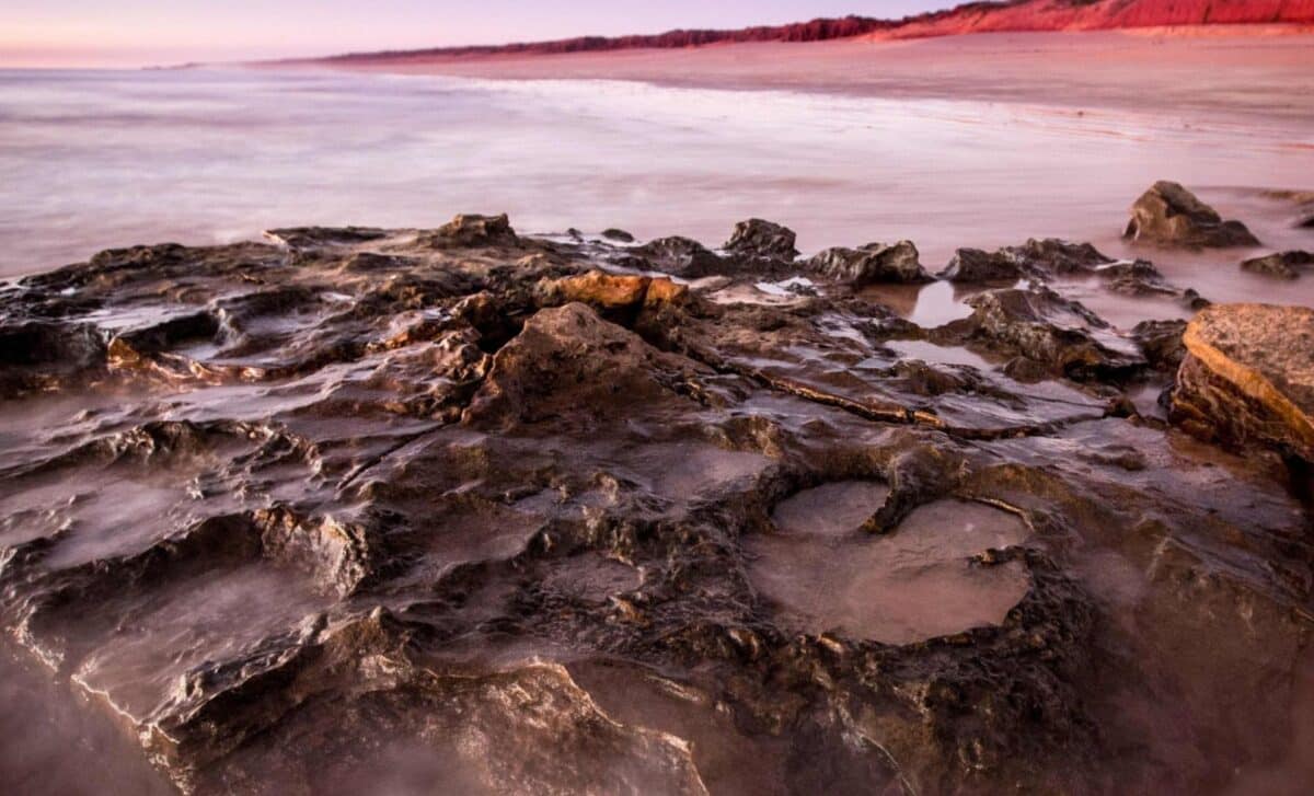  Researchers Discover the Largest Dinosaur Footprints Ever Found, Big Enough to Swallow a Grown Adult Whole