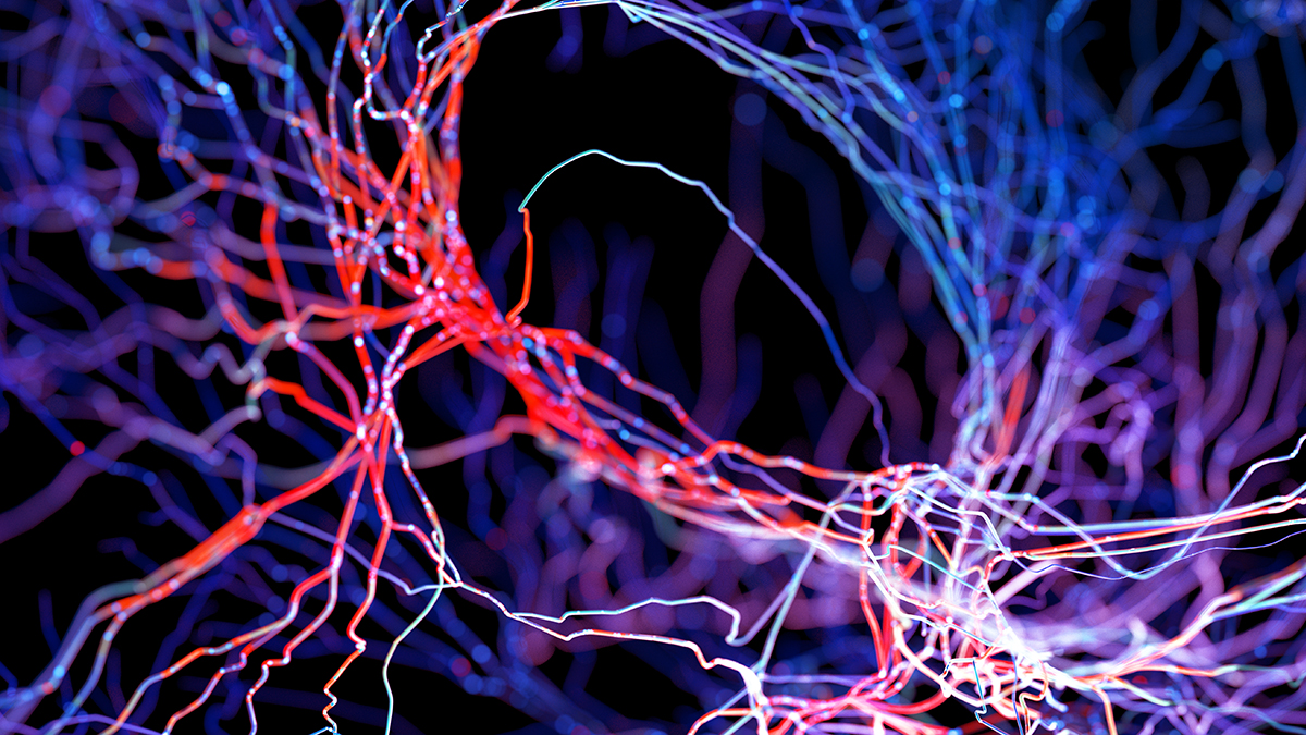  A Natural Molecule May Help Clear Buildup of Alzheimer’s Proteins, Study Finds : ScienceAlert