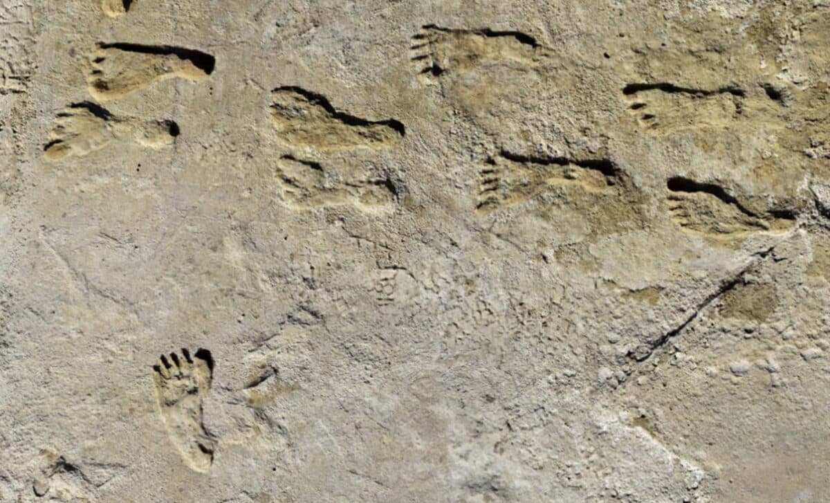  Scientists Discover Oldest Human Footprints in New Mexico, And the Details Are Unbelievable