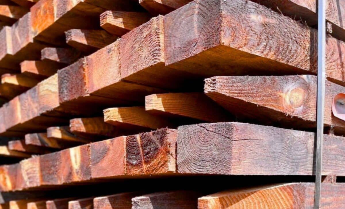  U.S. Scientists Create a “Superwood” That’s Stronger, Lighter, and Surprisingly Green