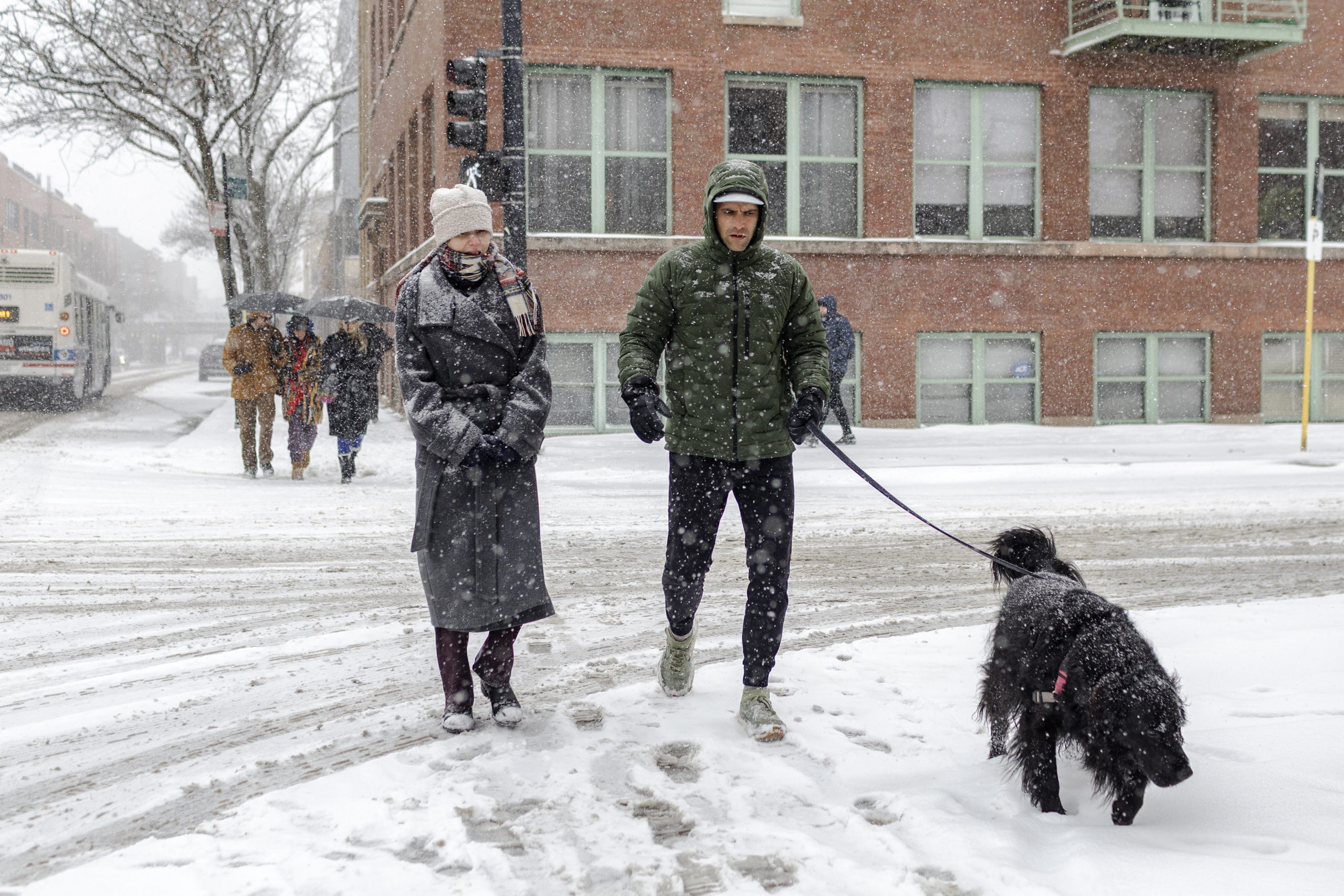  How Chicagoans Spent The Snowiest November Day In History