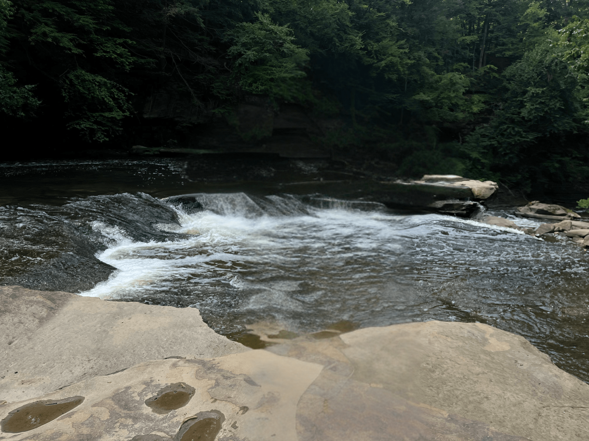  Ohio could lose protections for 96% of wetlands and streams