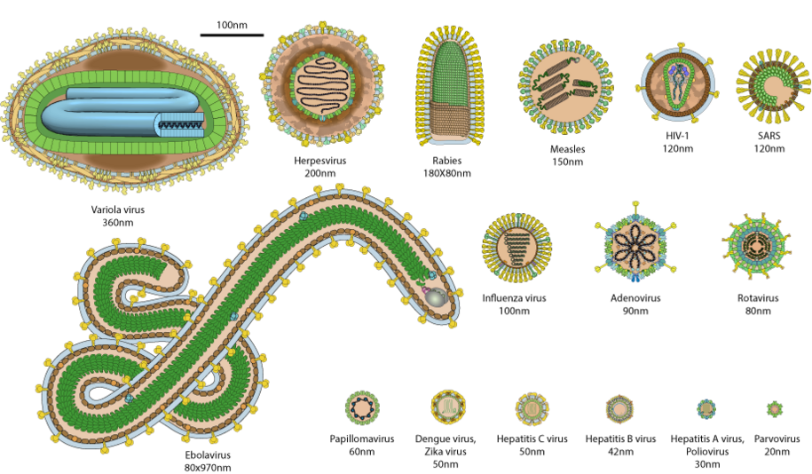  Infectious Updates: 12/1/2025