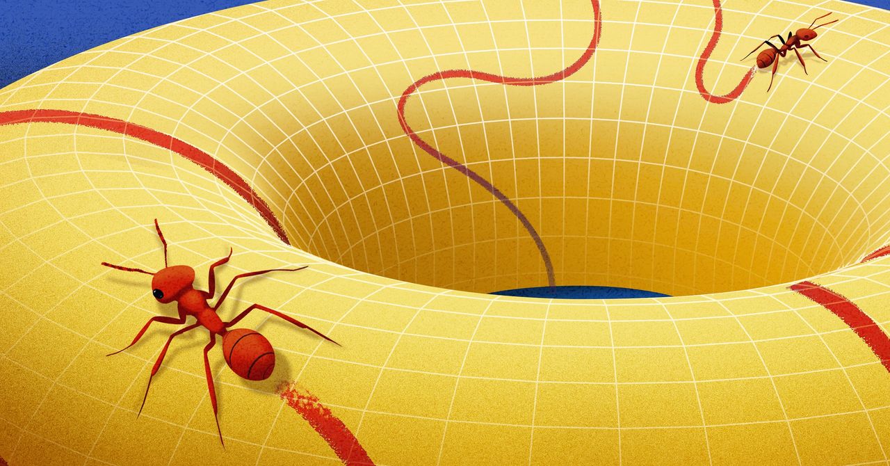  Behold the Manifold, the Concept that Changed How Mathematicians View Space