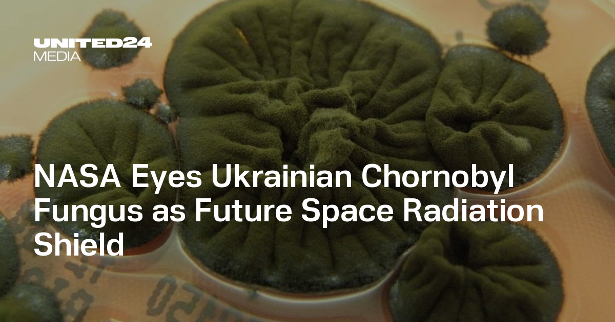  NASA Eyes Ukrainian Chornobyl Fungus as Future Space Radiation Shield — UNITED24 Media