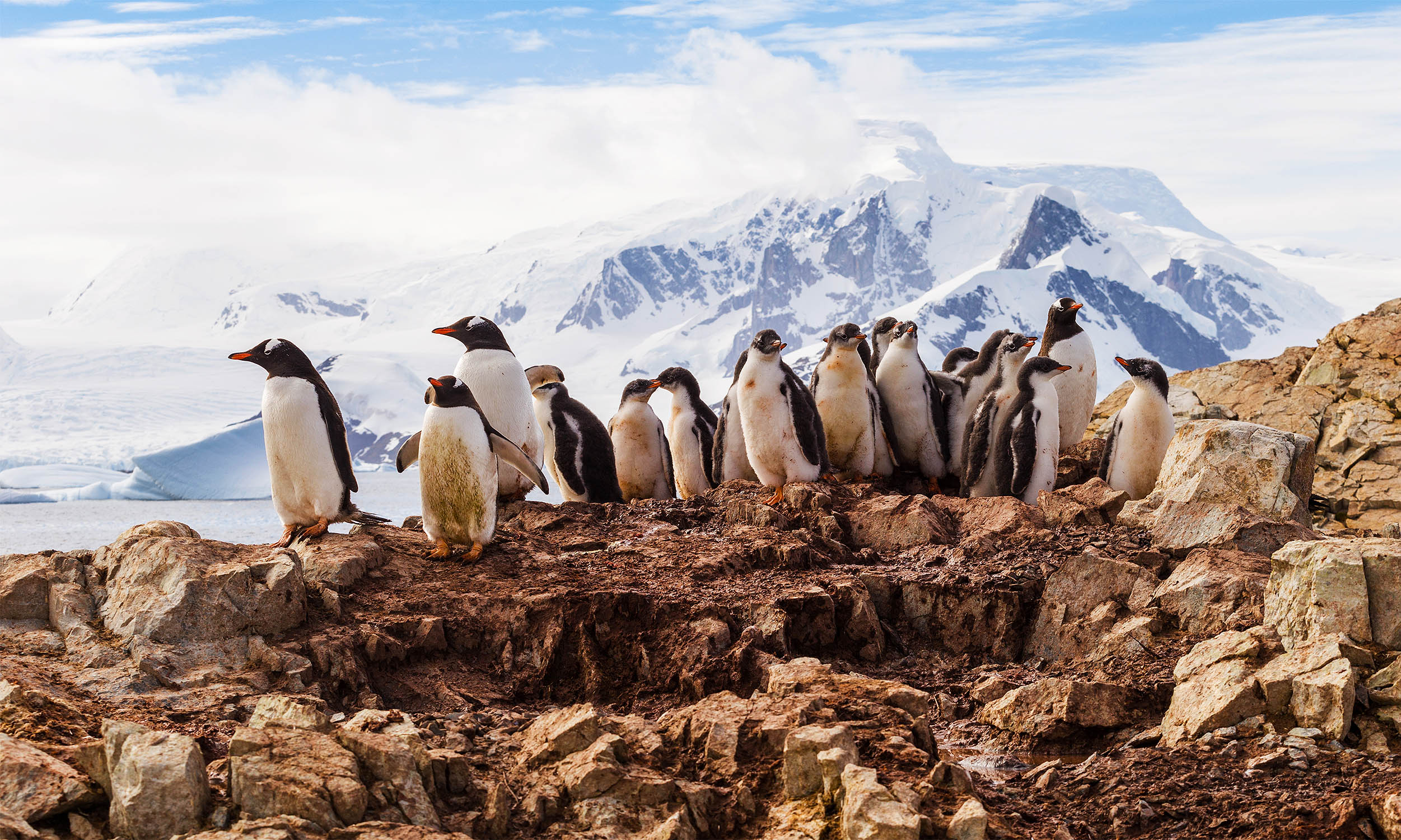  Scientists: We are witnessing irreversible changes in Antarctica