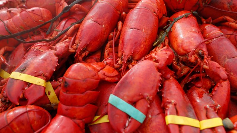  Oysters, crab and $400,000 worth of lobster meat stolen in New England