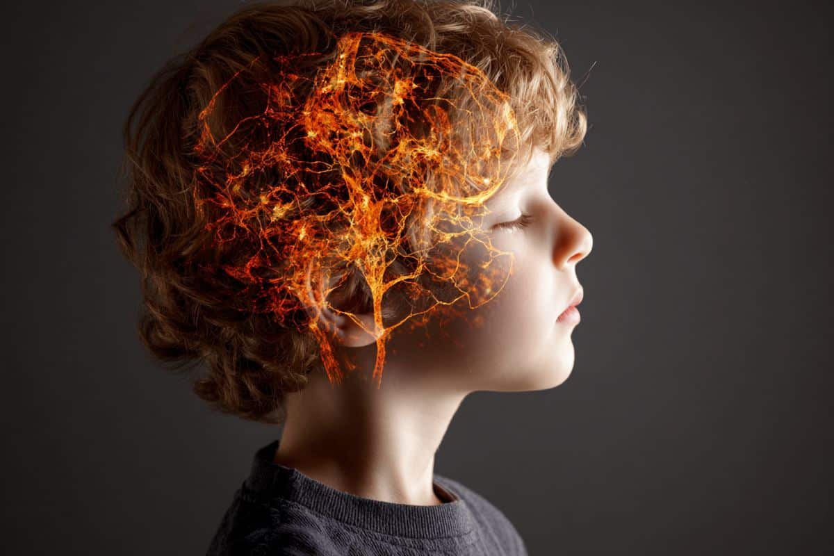  Missing Brain Receptor May Hold the Key to Autism