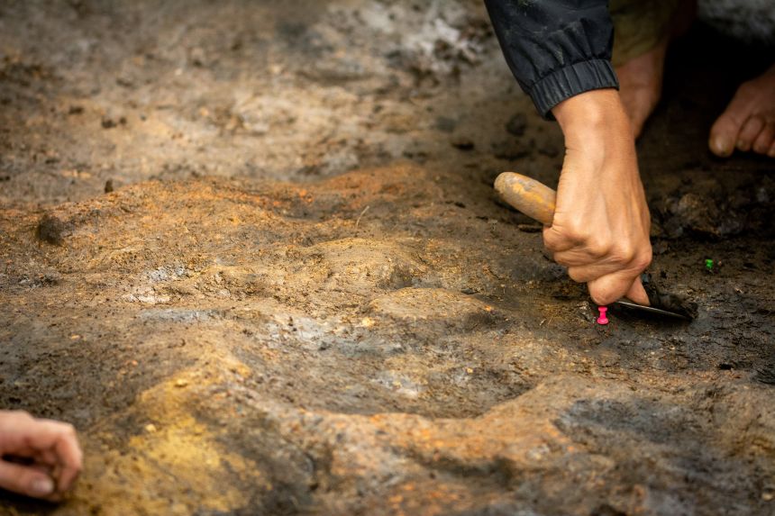Archaeologists working near the remains of the 400,000-year-old campfire.