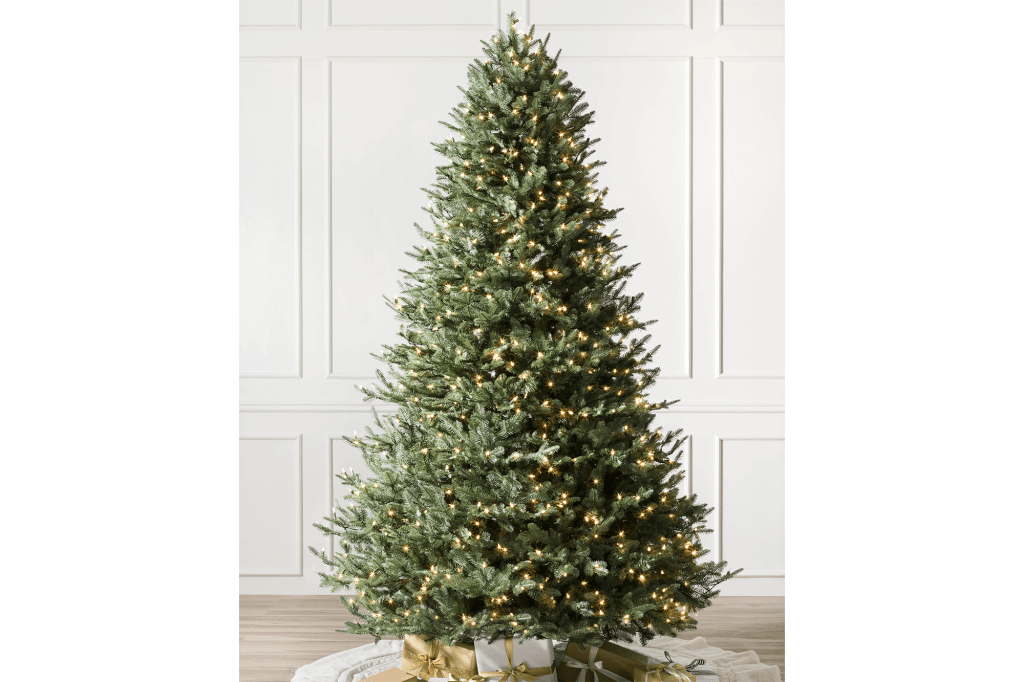 BH Balsam Fir